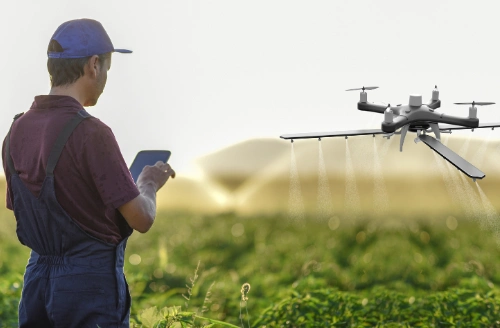 Investment in agricultural enterprises